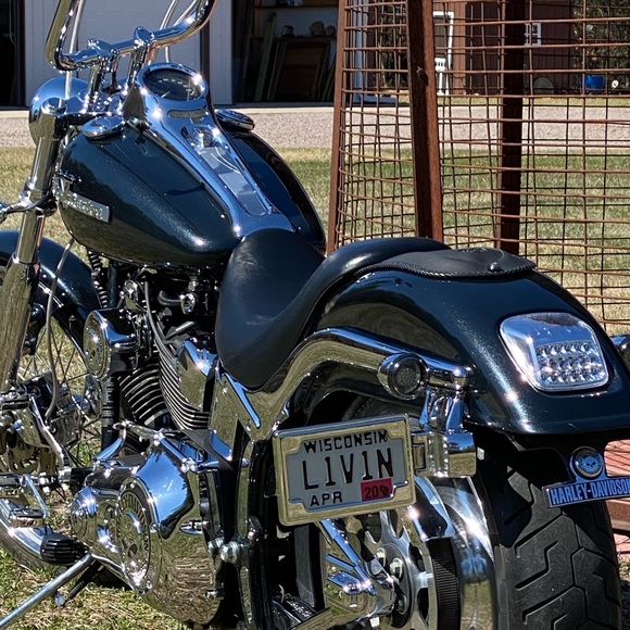 Meet your Posher, Chris - Picture 15 of 16